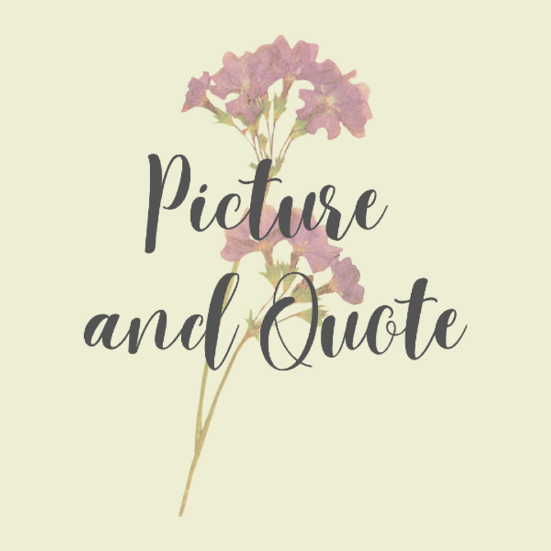 Picture And Quote Karyakarsa
