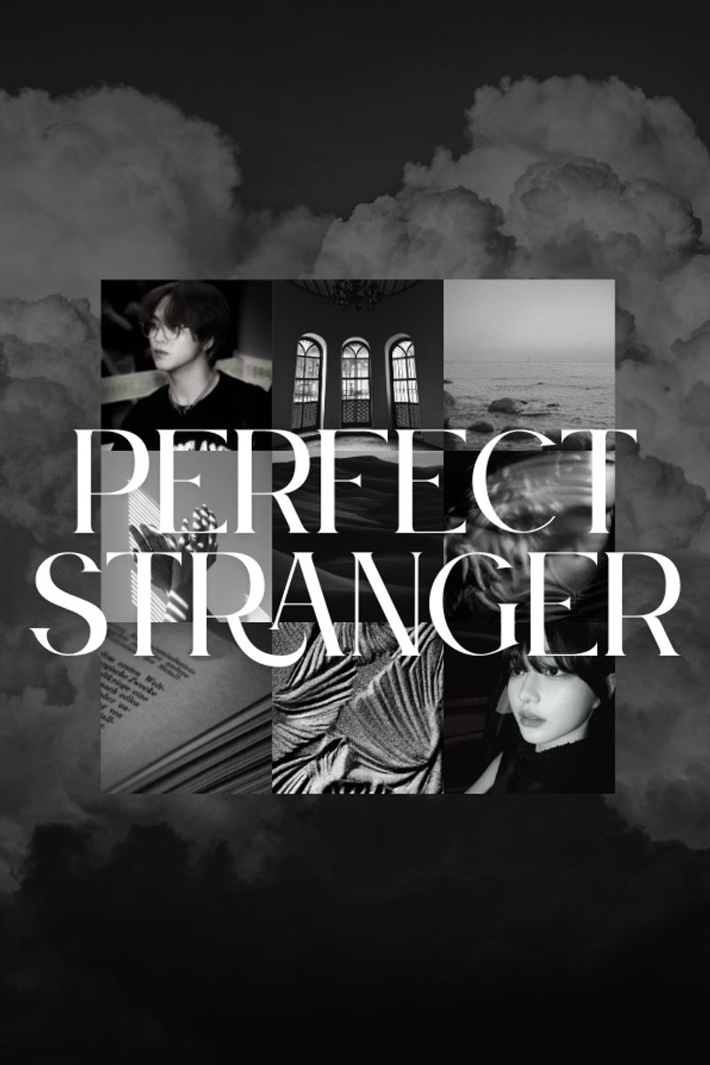 PERFECT STRANGER · Karyakarsa