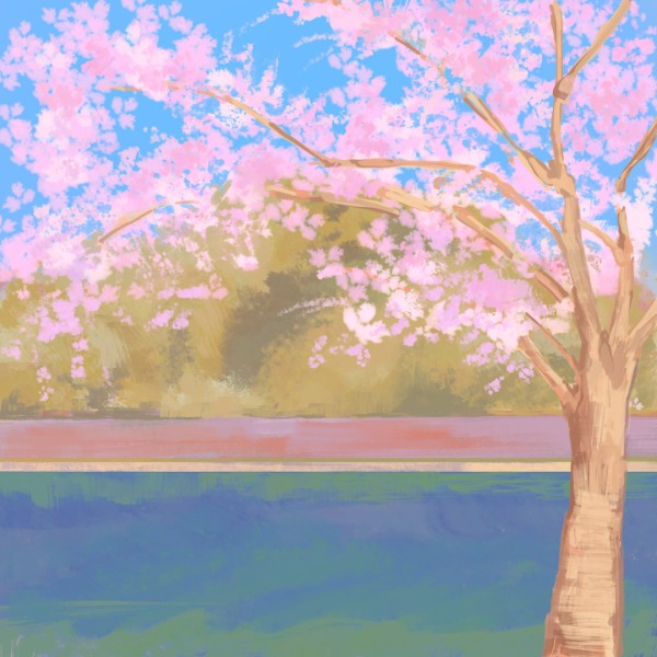 post-image-669d267982401.png